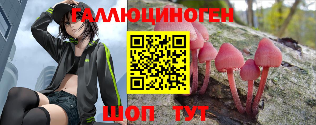 Галлюциногенные грибы мухоморы Тобольск