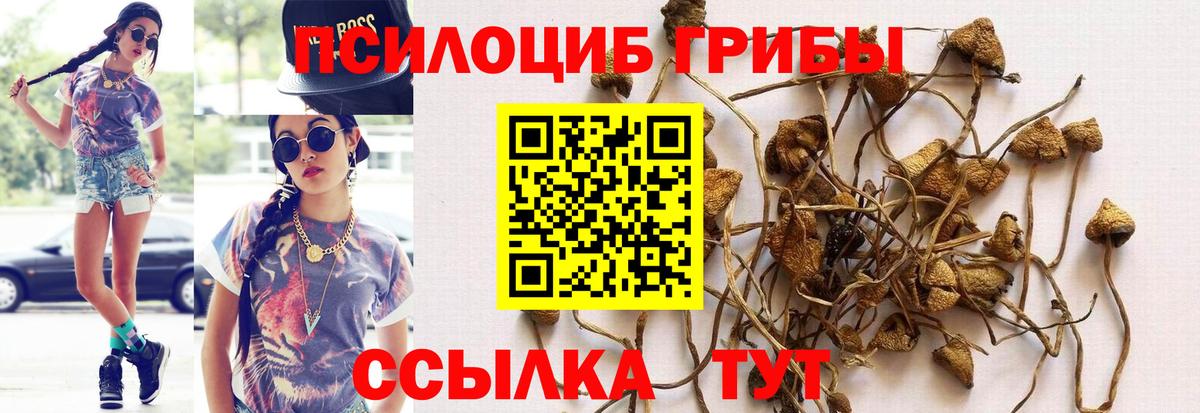 Галлюциногенные грибы Magic Shrooms  Вход с VPN  Галлюциногенные грибы Cubensis  Тобольск 
